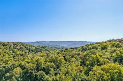 47 New Brighton Hill Tunbridge VT 05077