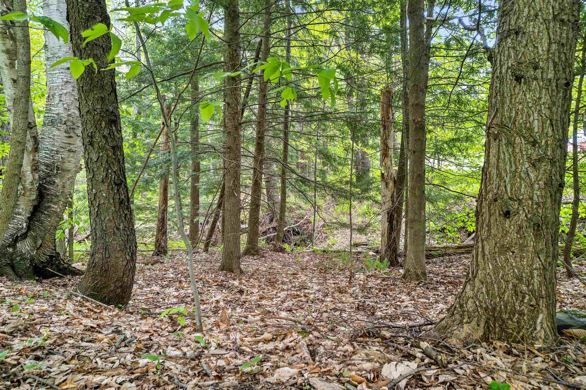 00 Stackpole Road Barnard VT 05031
