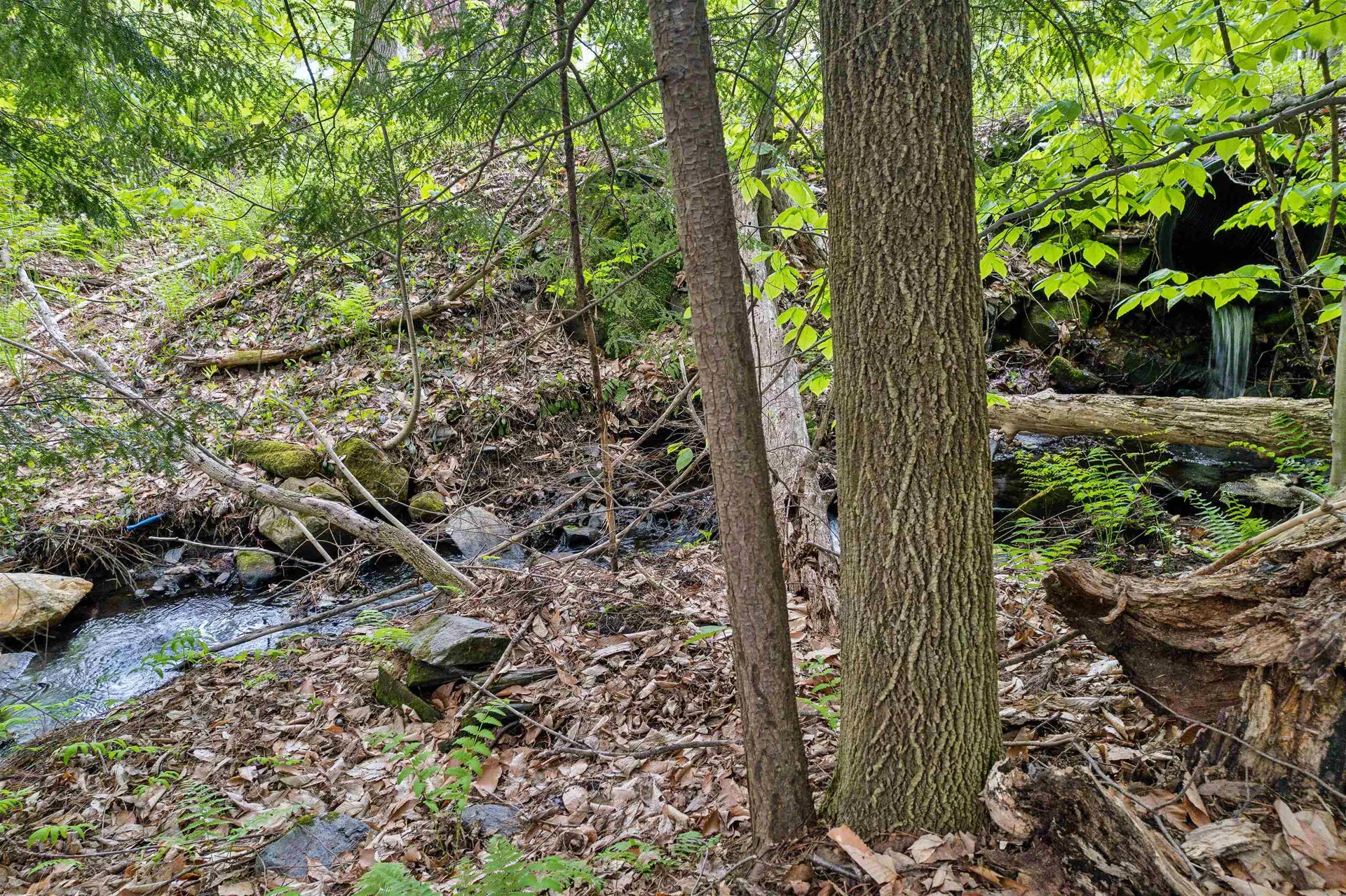 00 Stackpole Road Barnard VT 05031