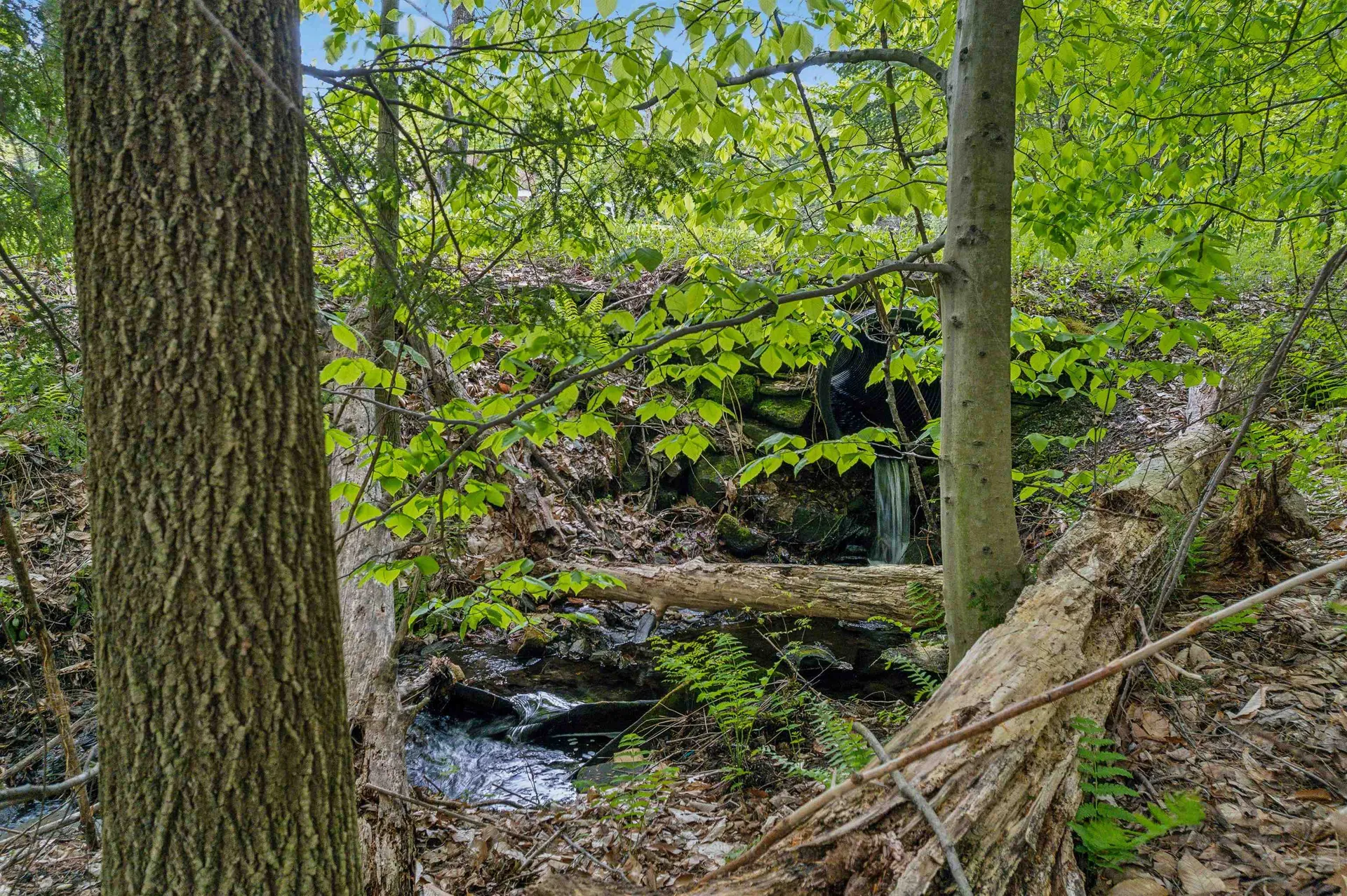 00 Stackpole Road Barnard VT 05031