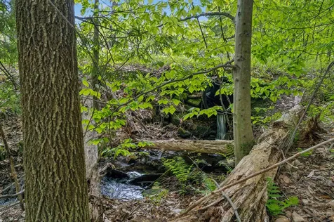 00 Stackpole Road Barnard VT 05031