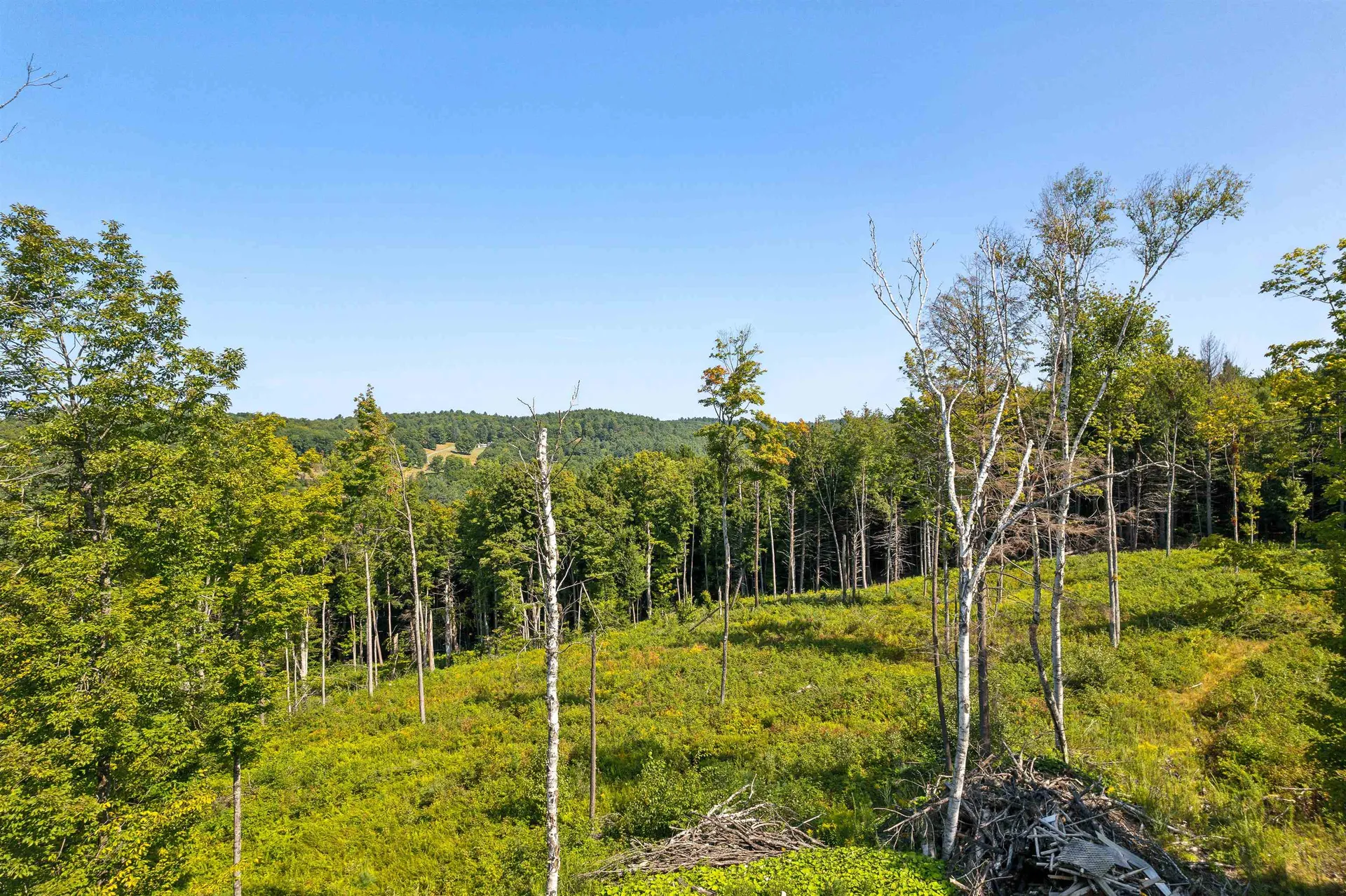 0 Wildlife Road Hartford VT 05001