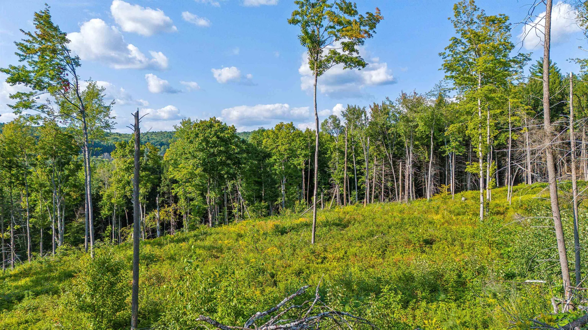 0 Wildlife Road Hartford VT 05001