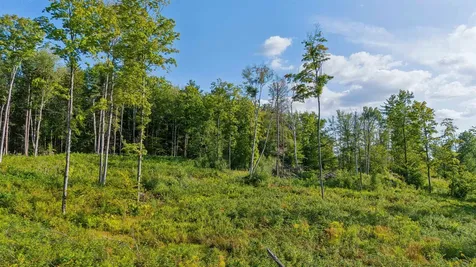 0 Wildlife Road Hartford VT 05001