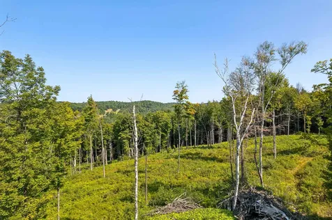 0 Wildlife Road Hartford VT 05001