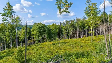 0 Wildlife Road Hartford VT 05001