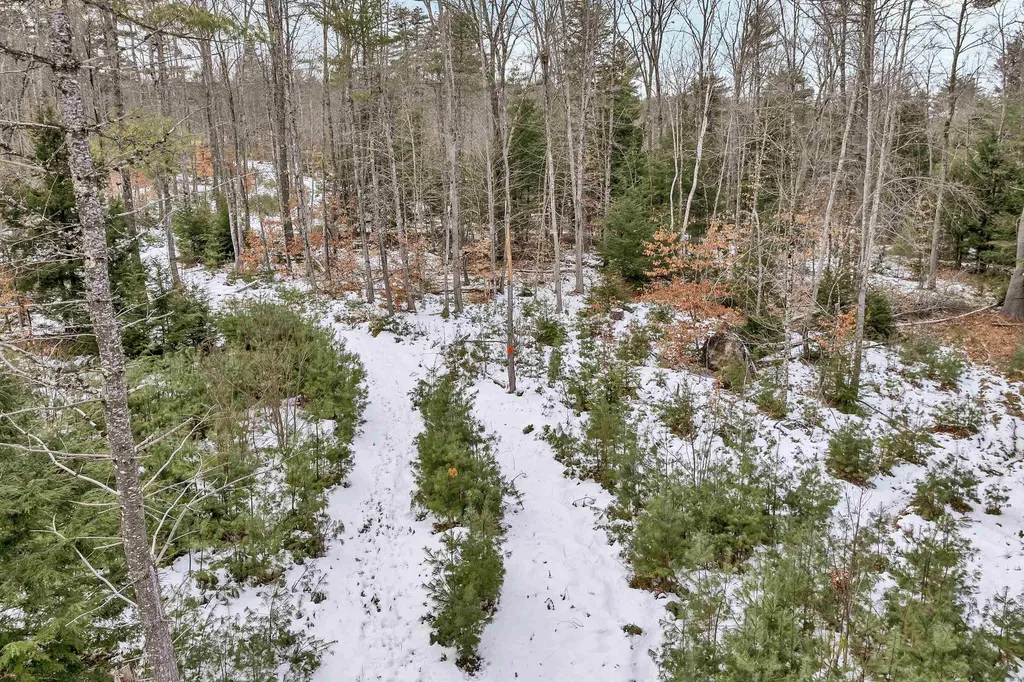 0 Witchtrot Road Wakefield NH 03872