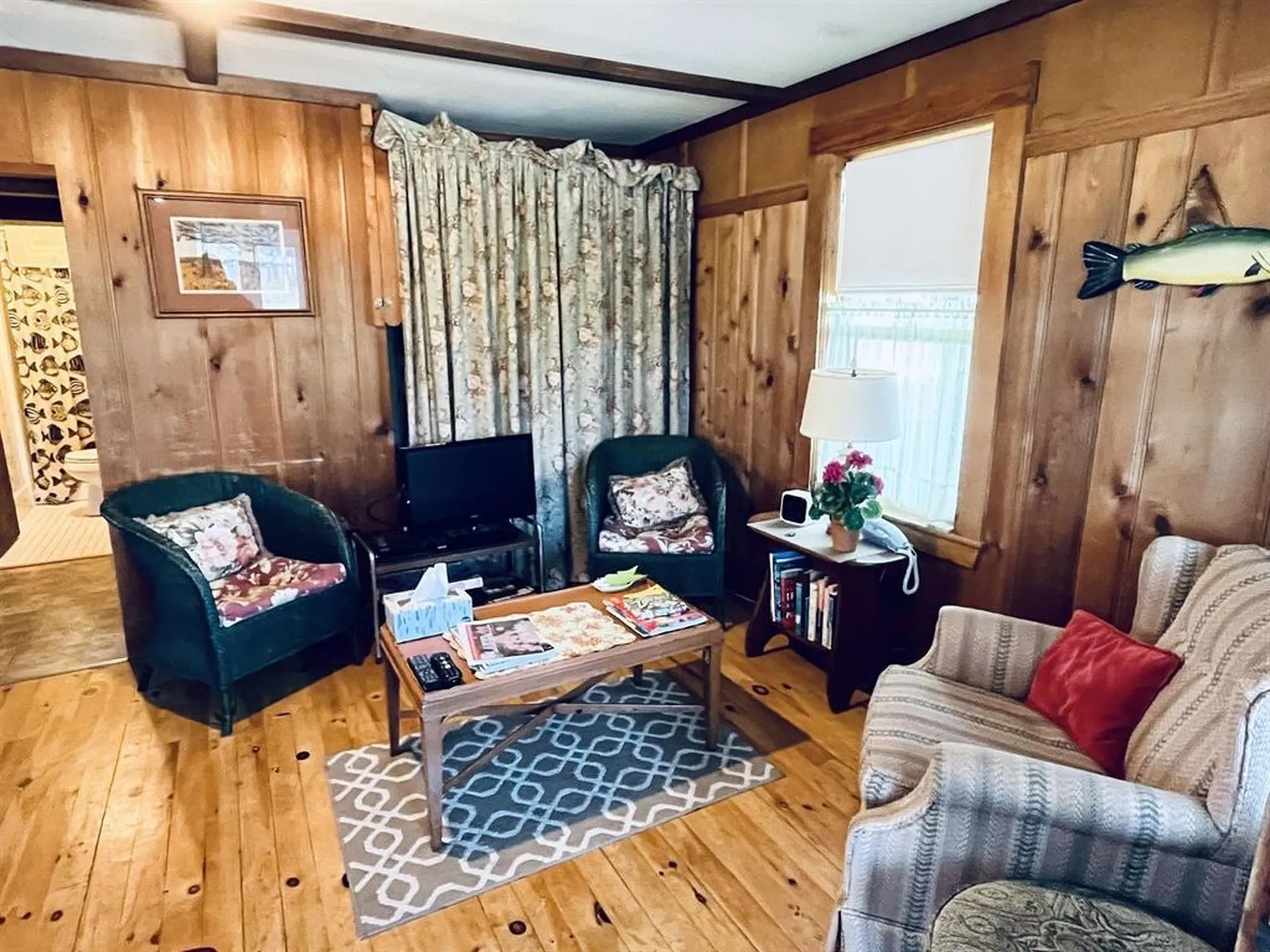 17 Pasquaney Shores Drive Bristol NH 03222