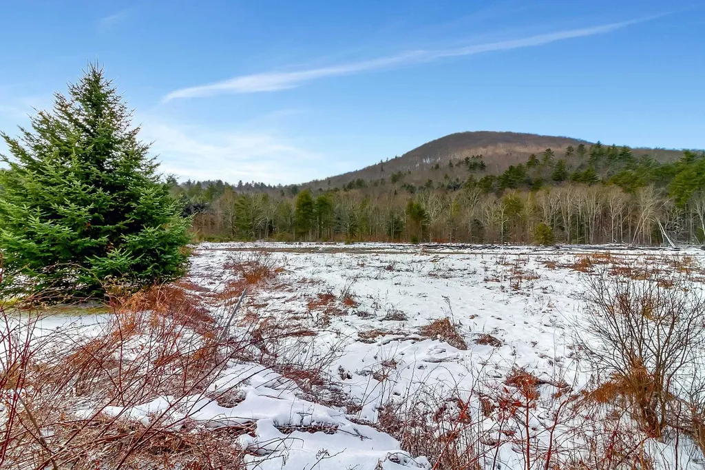 1451 Route 103 Wallingford VT 05738