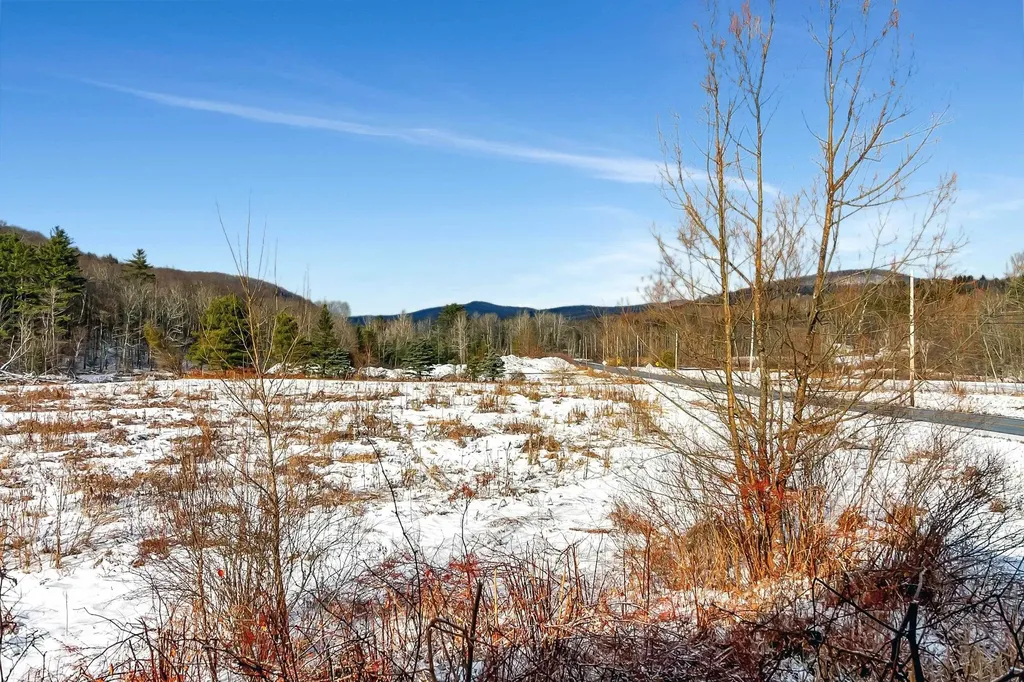 1451 Route 103 Wallingford VT 05738