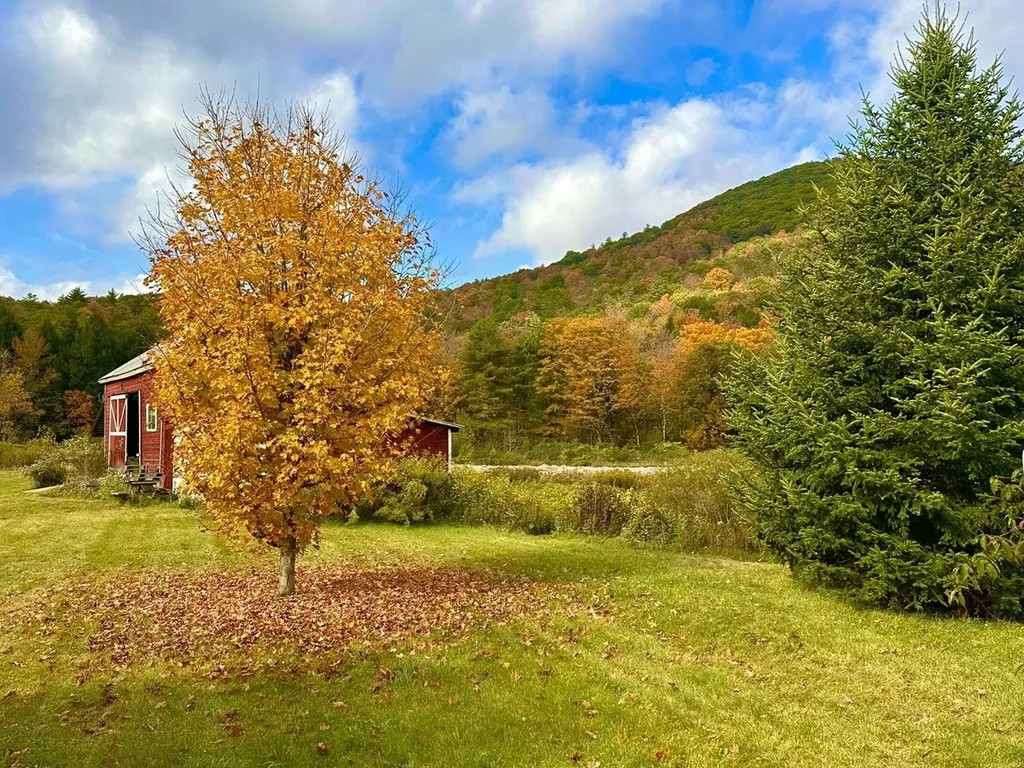 1451 Route 103 Wallingford VT 05738