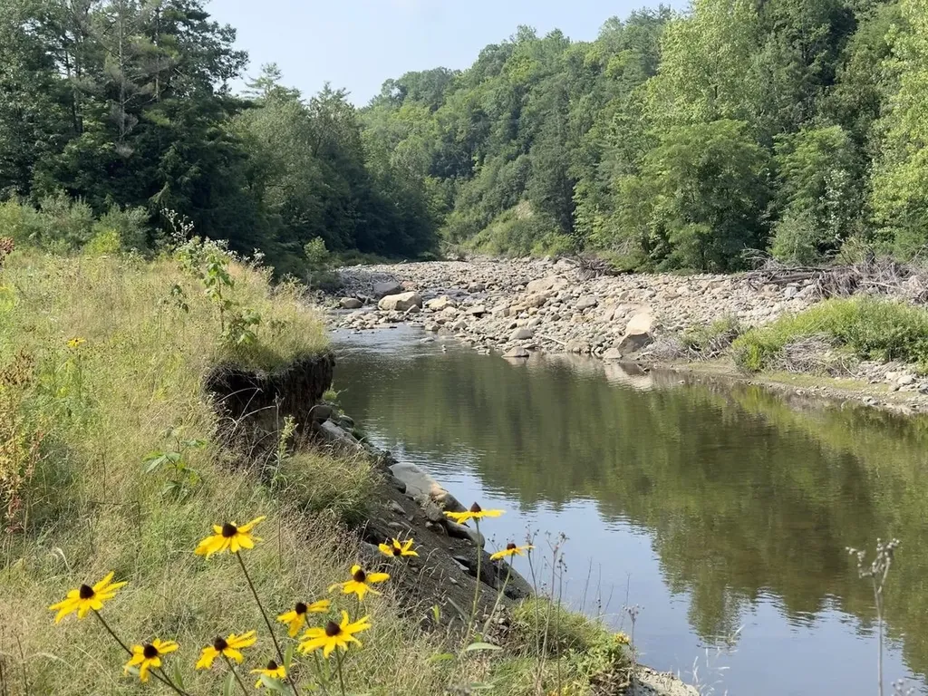 1451 Route 103 Wallingford VT 05738