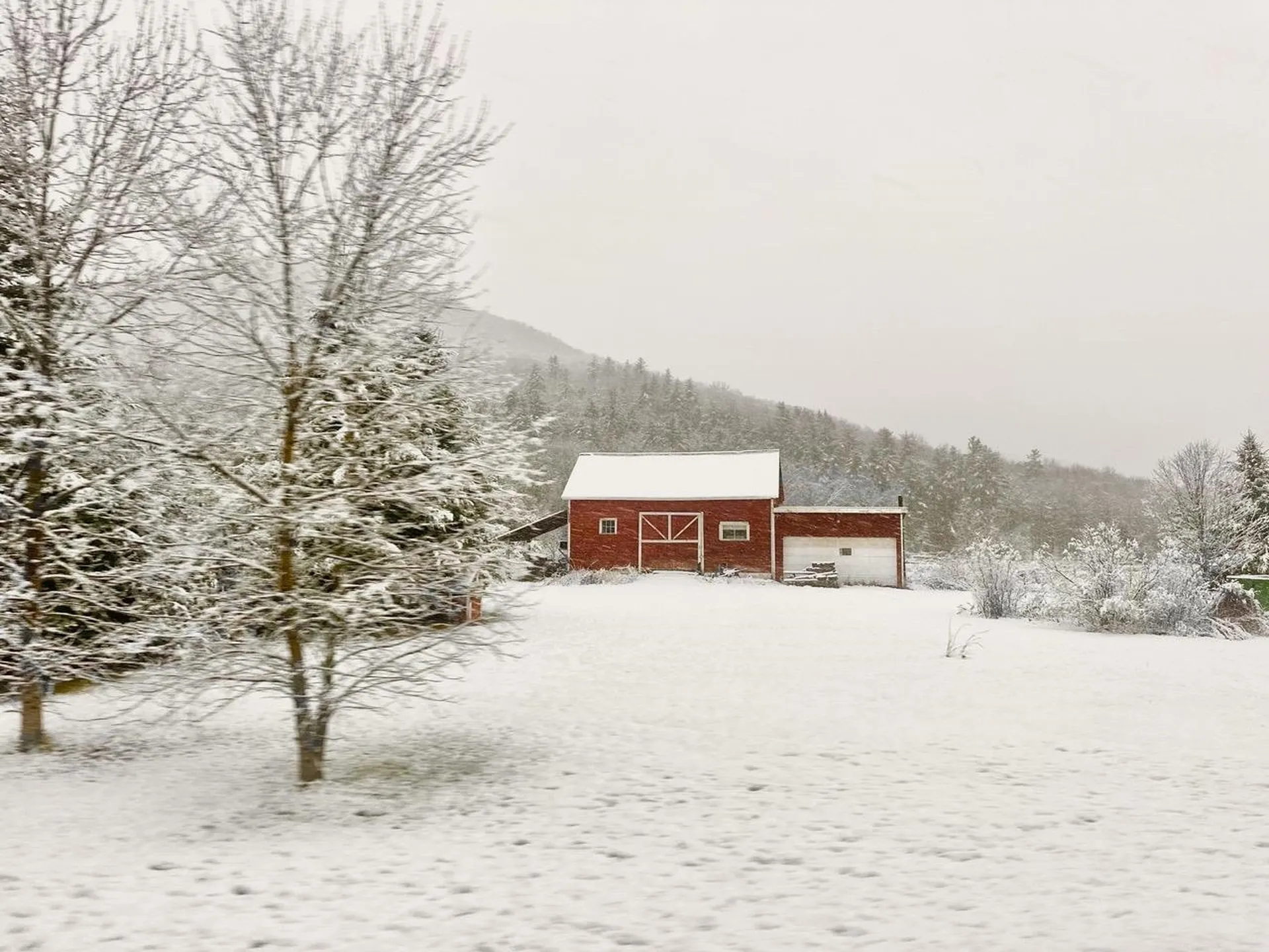 1451 Route 103 Wallingford VT 05738