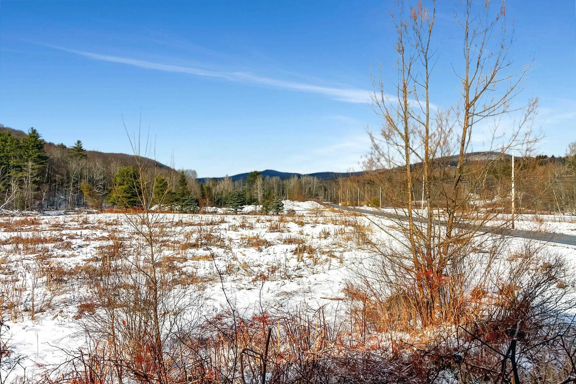 1451 Route 103 Wallingford VT 05738