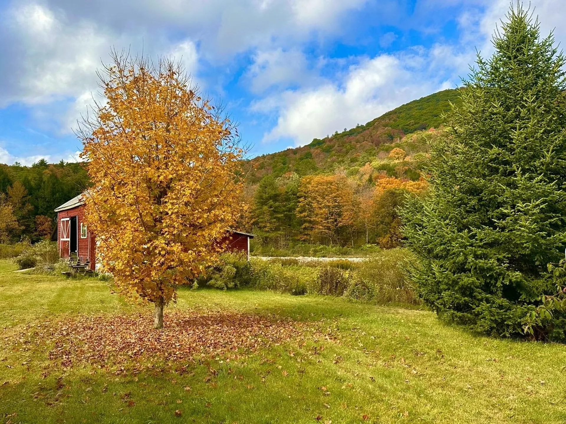 1451 Route 103 Wallingford VT 05738