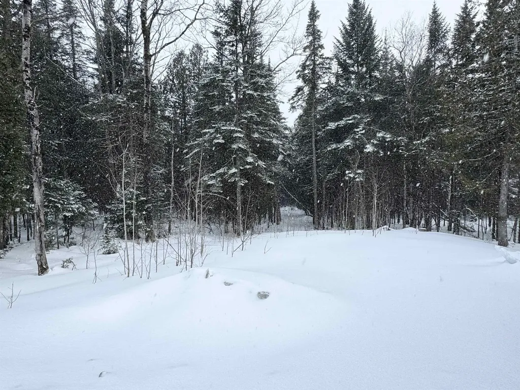 1450 Newark Road Brighton VT 05846