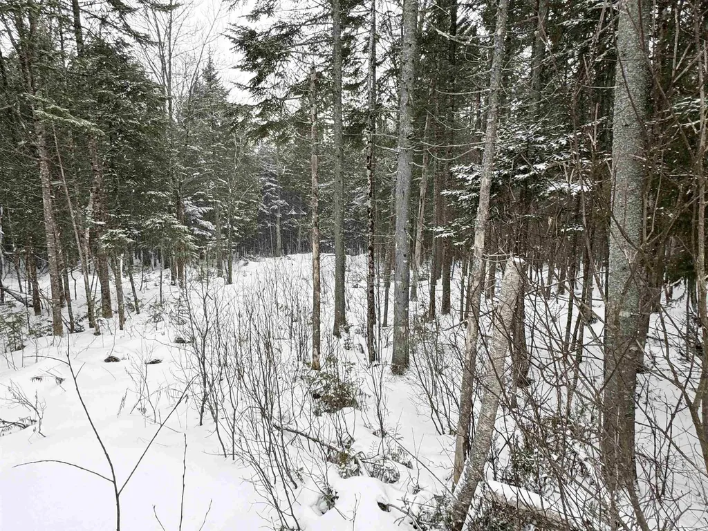 1450 Newark Road Brighton VT 05846