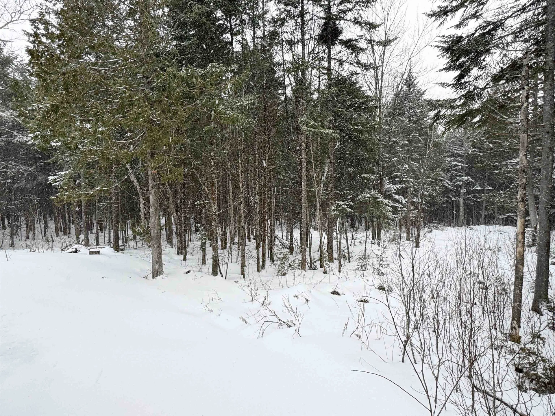 1450 Newark Road Brighton VT 05846