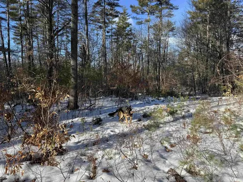 0 Green Mountain Road Effingham NH 03882