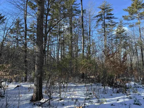 0 Green Mountain Road Effingham NH 03882