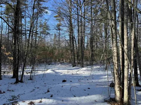 0 Green Mountain Road Effingham NH 03882