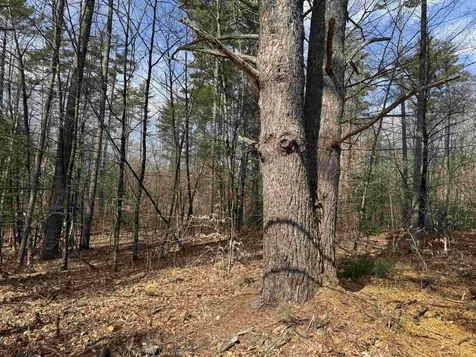 0 Green Mountain Road Effingham NH 03882