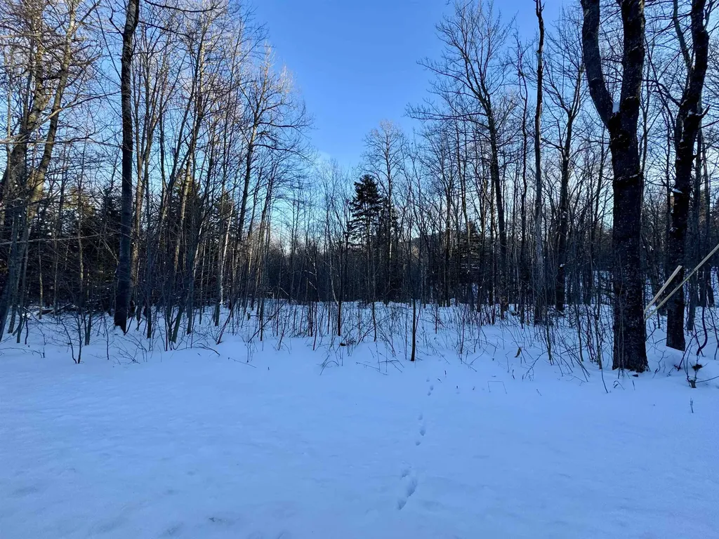 1739 West Hill Road Warren VT 05674