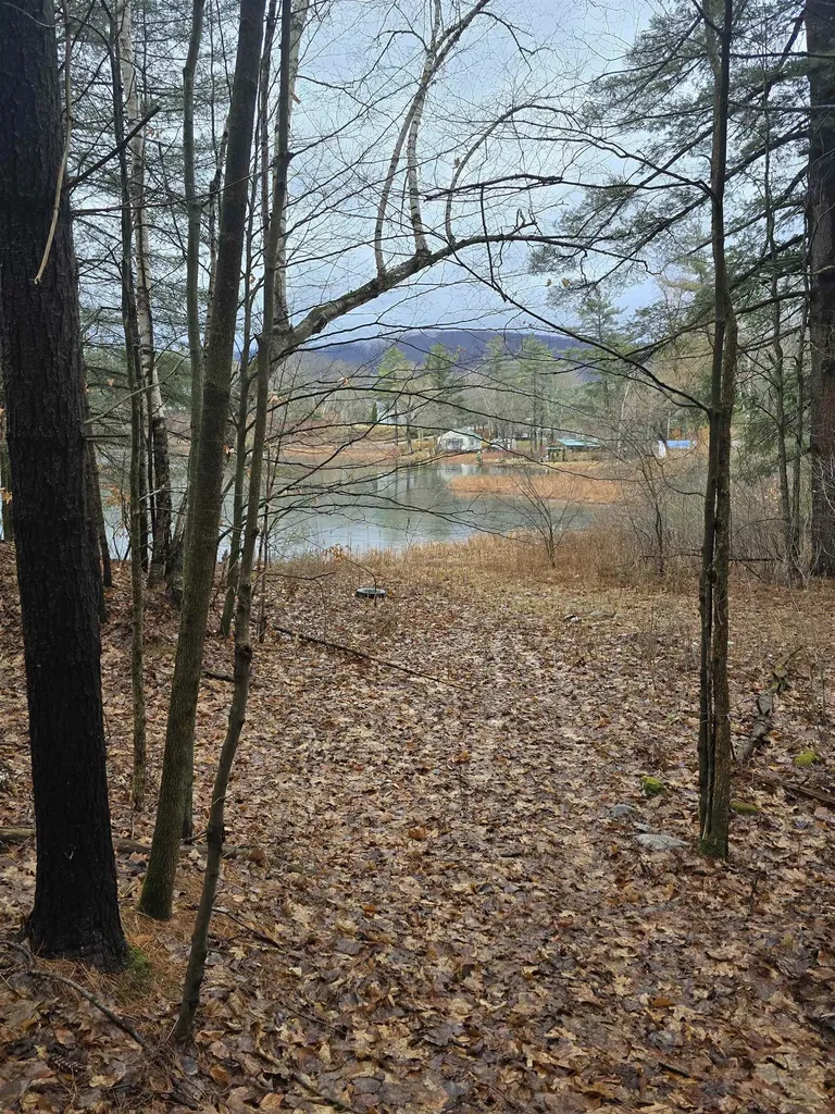 161 Pine Ridge Drive Pownal VT 05261