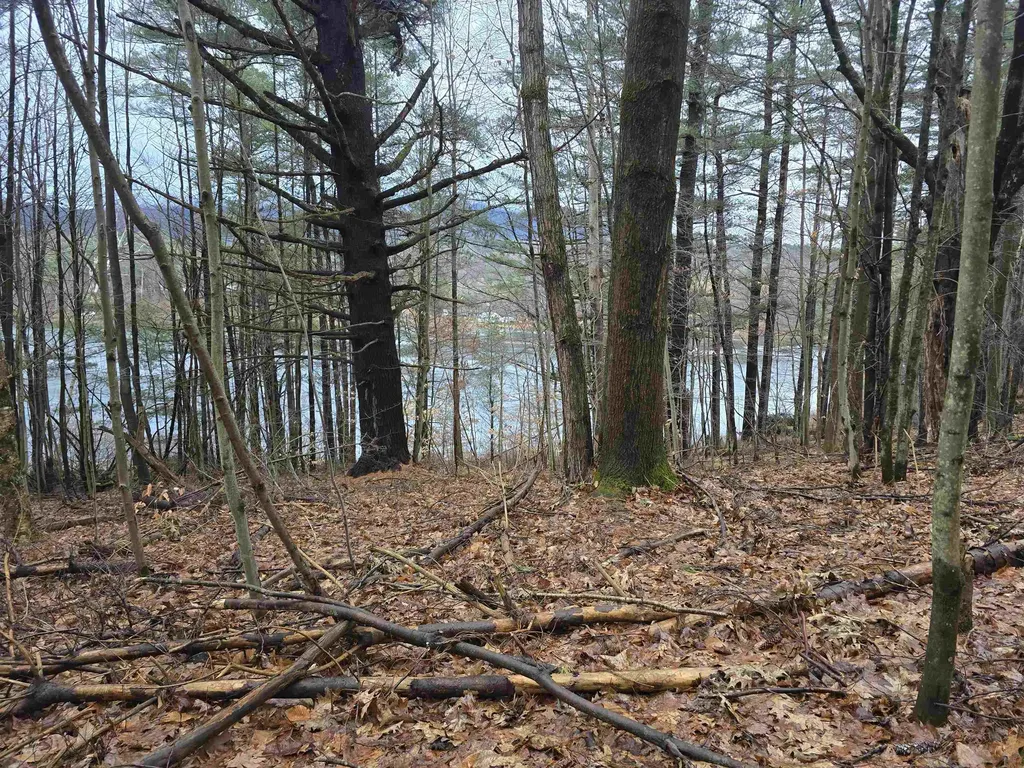 161 Pine Ridge Drive Pownal VT 05261