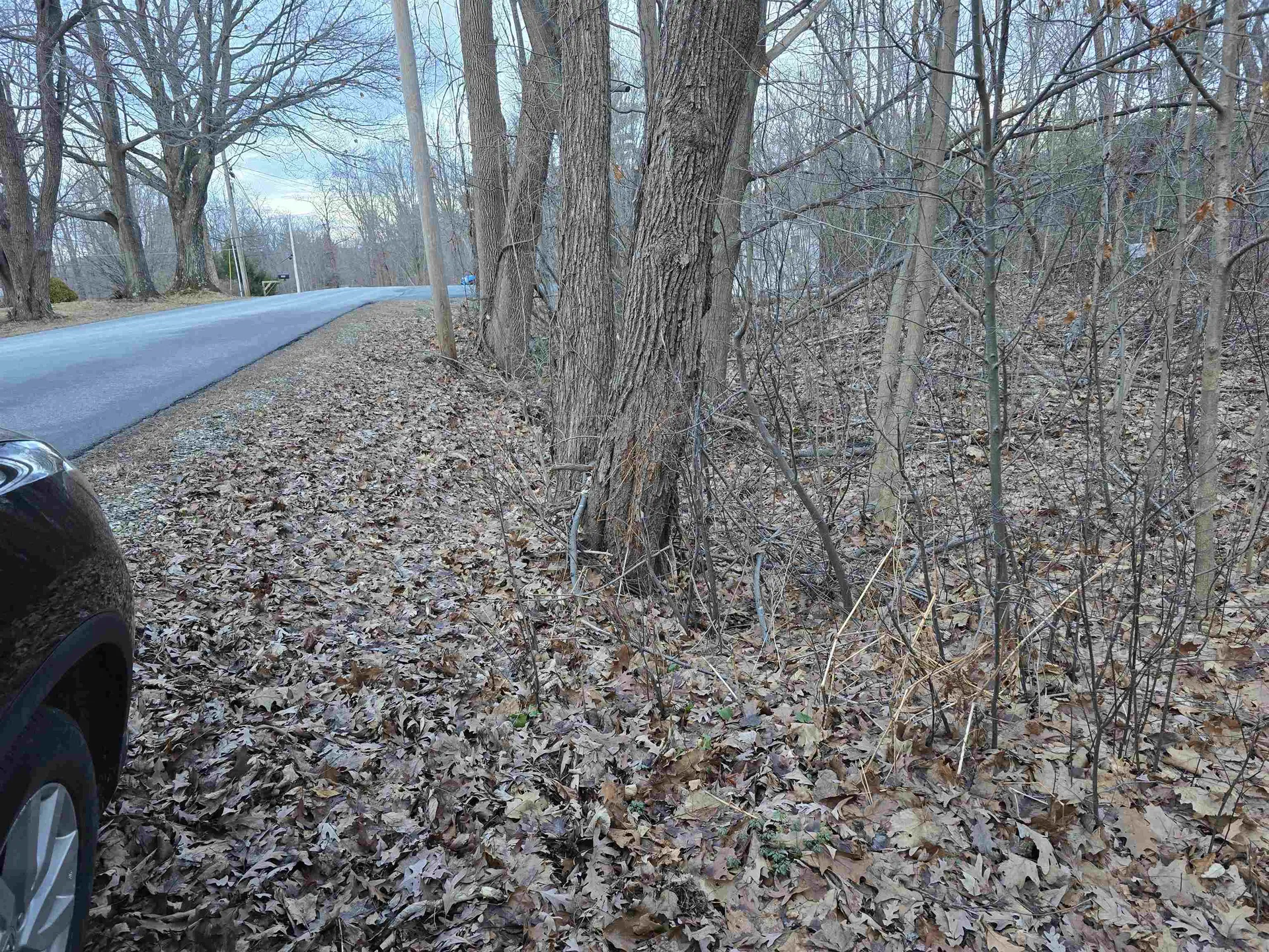 161 Pine Ridge Drive Pownal VT 05261