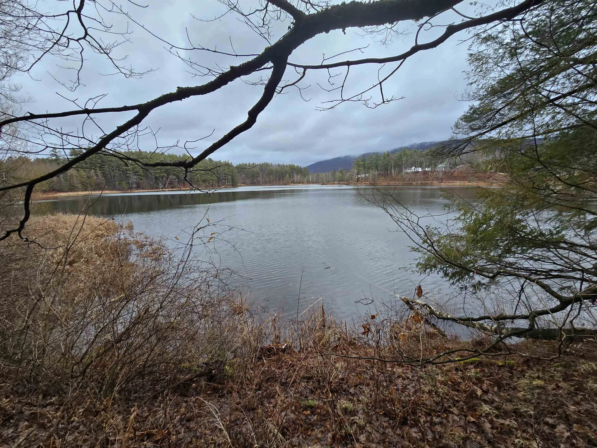 161 Pine Ridge Drive Pownal VT 05261