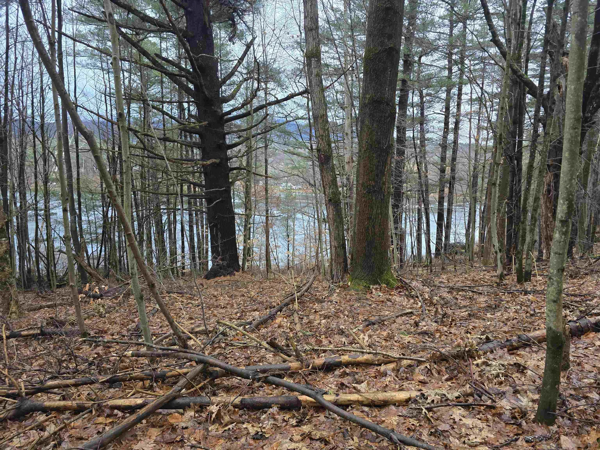 161 Pine Ridge Drive Pownal VT 05261