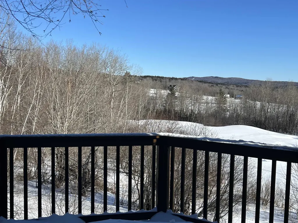 15 Cedar Creek Drive Wilmington VT 05363