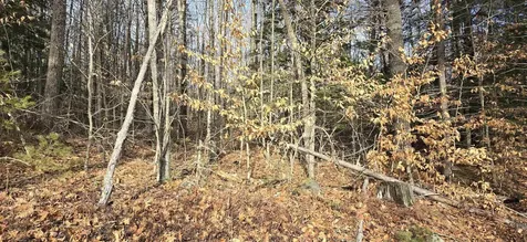 11c-2 Nh Route140 Alton NH 03809