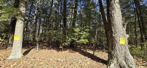 Lot 11c-1 Nh Route 140 Alton NH 03809