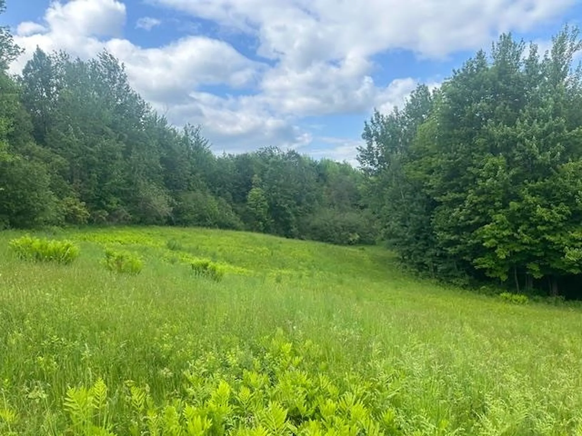 360 City Farm Road Newport City VT 05855