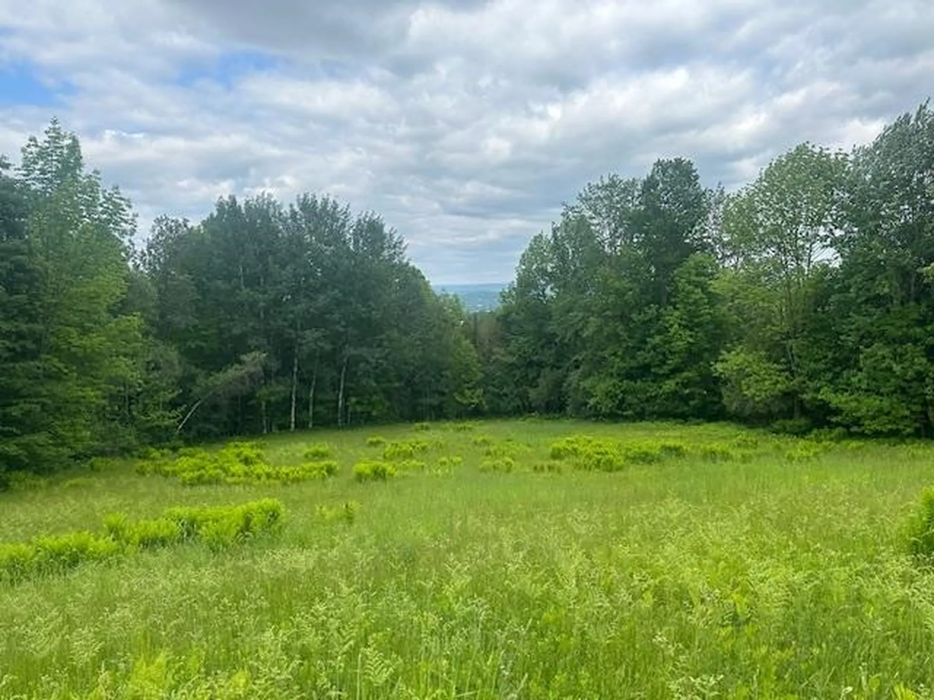 360 City Farm Road Newport City VT 05855