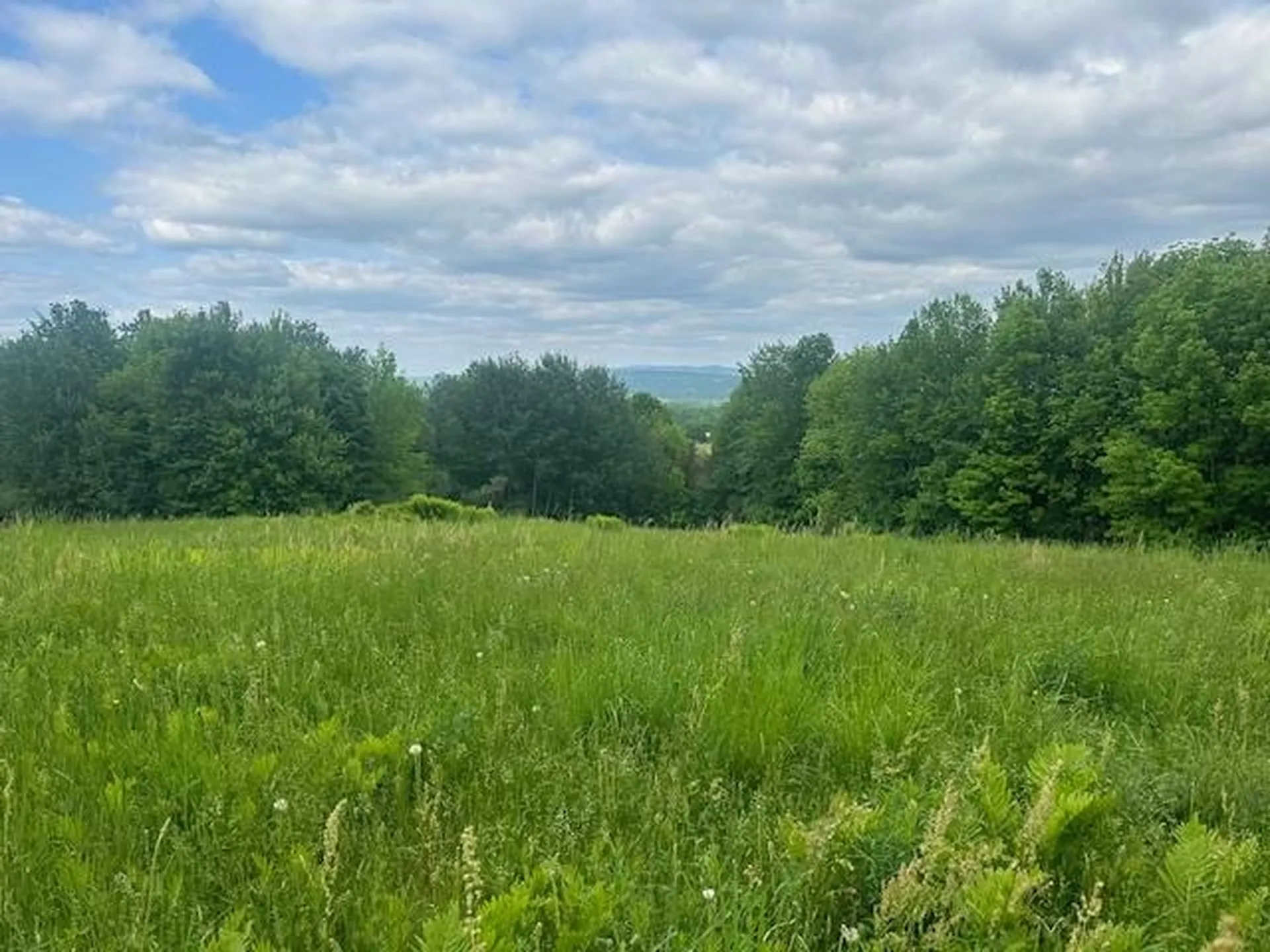 360 City Farm Road Newport City VT 05855