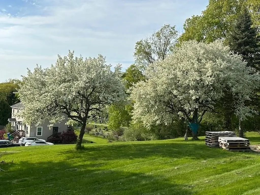 46 Cherry Street Milton VT 05468