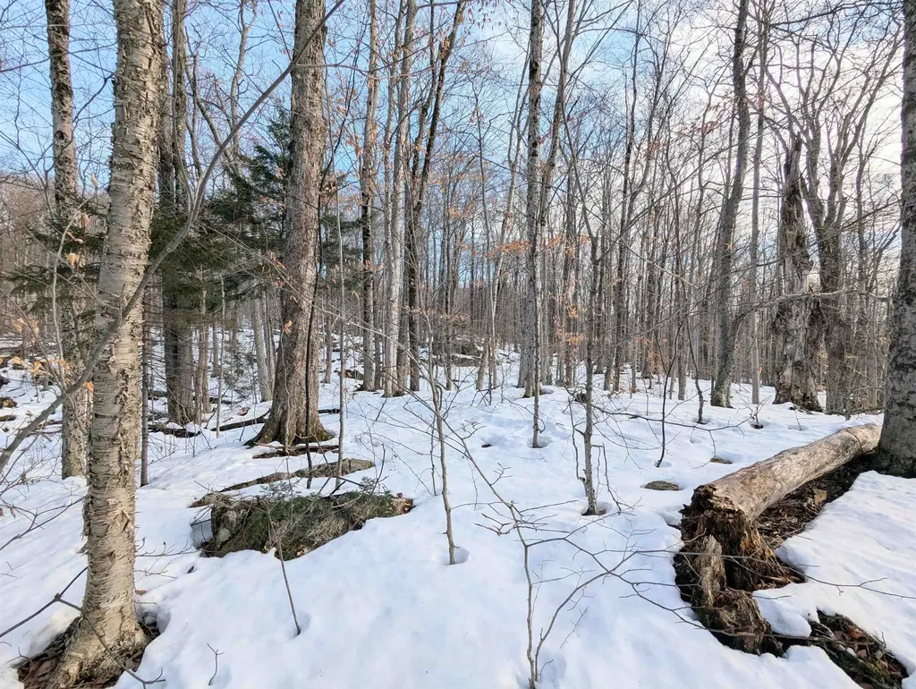 0 Sugar Bush Drive Winhall VT 05340