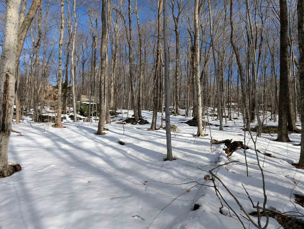 0 Sugar Bush Drive Winhall VT 05340