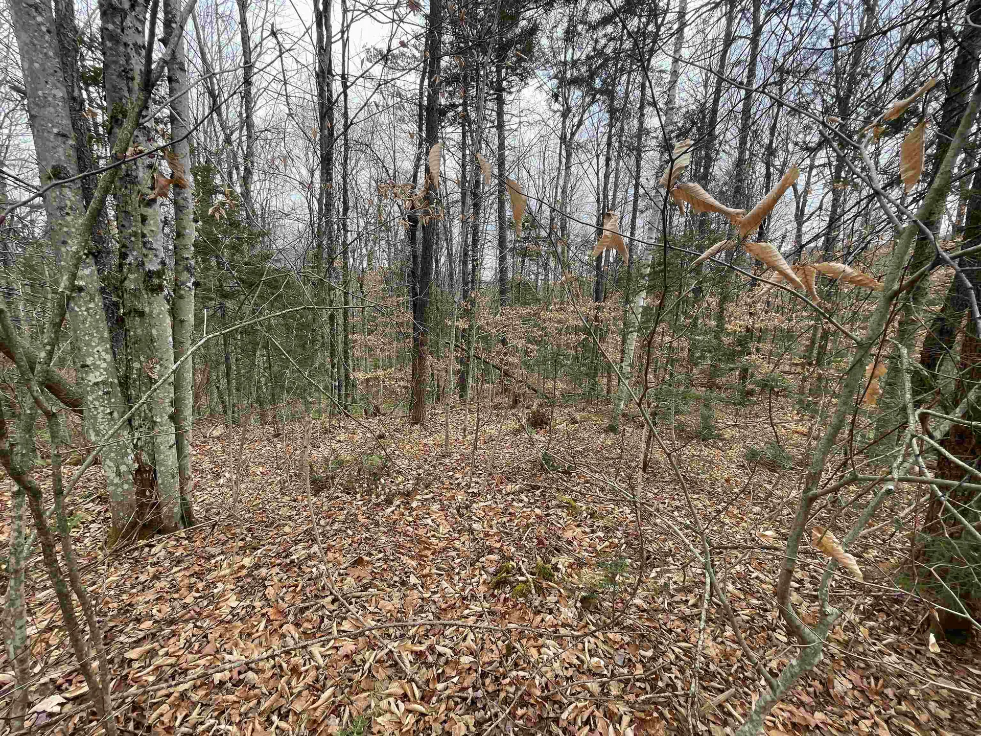 00 Nh Route 118 Dorchester NH 03266