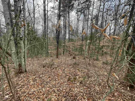 00 Nh Route 118 Dorchester NH 03266