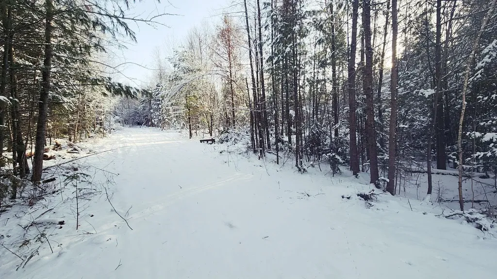 0 Pine Hill Road Coventry VT 05825