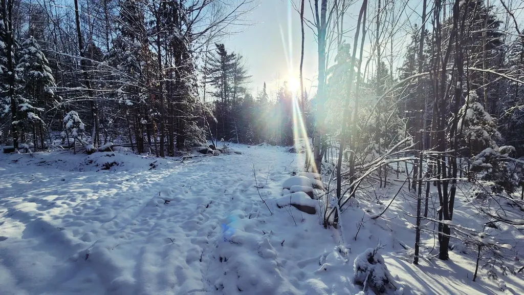 0 Pine Hill Road Coventry VT 05825