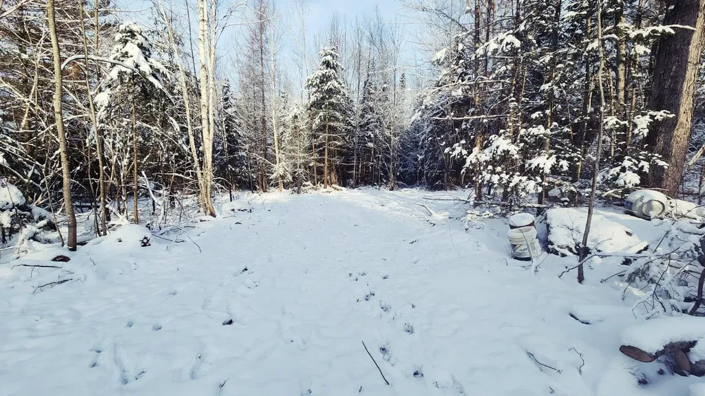 0 Pine Hill Road Coventry VT 05825