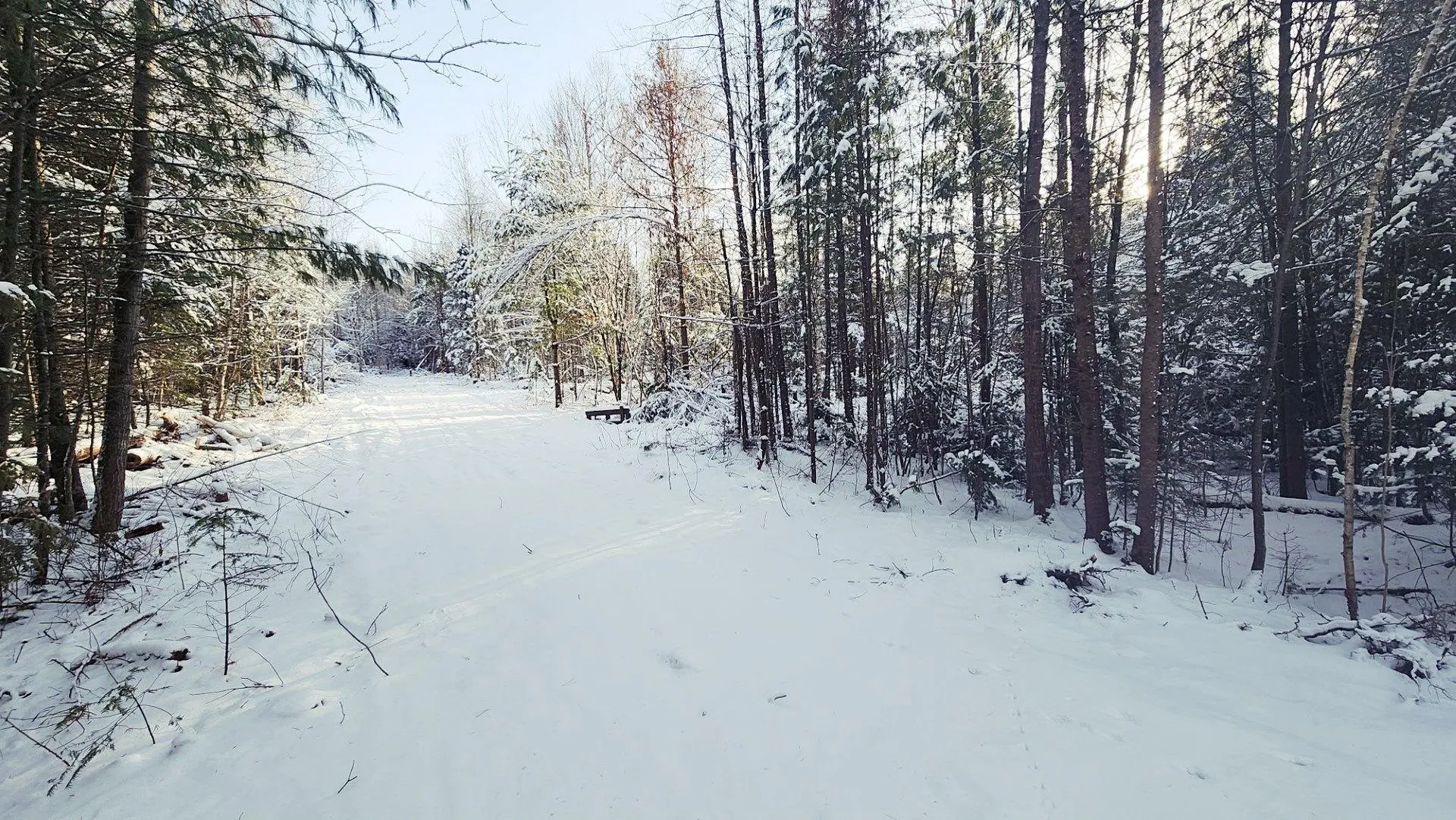 0 Pine Hill Road Coventry VT 05825