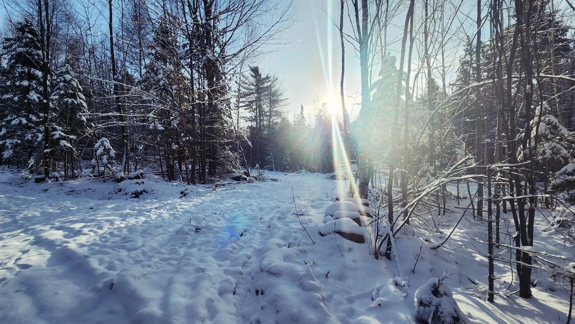 0 Pine Hill Road Coventry VT 05825