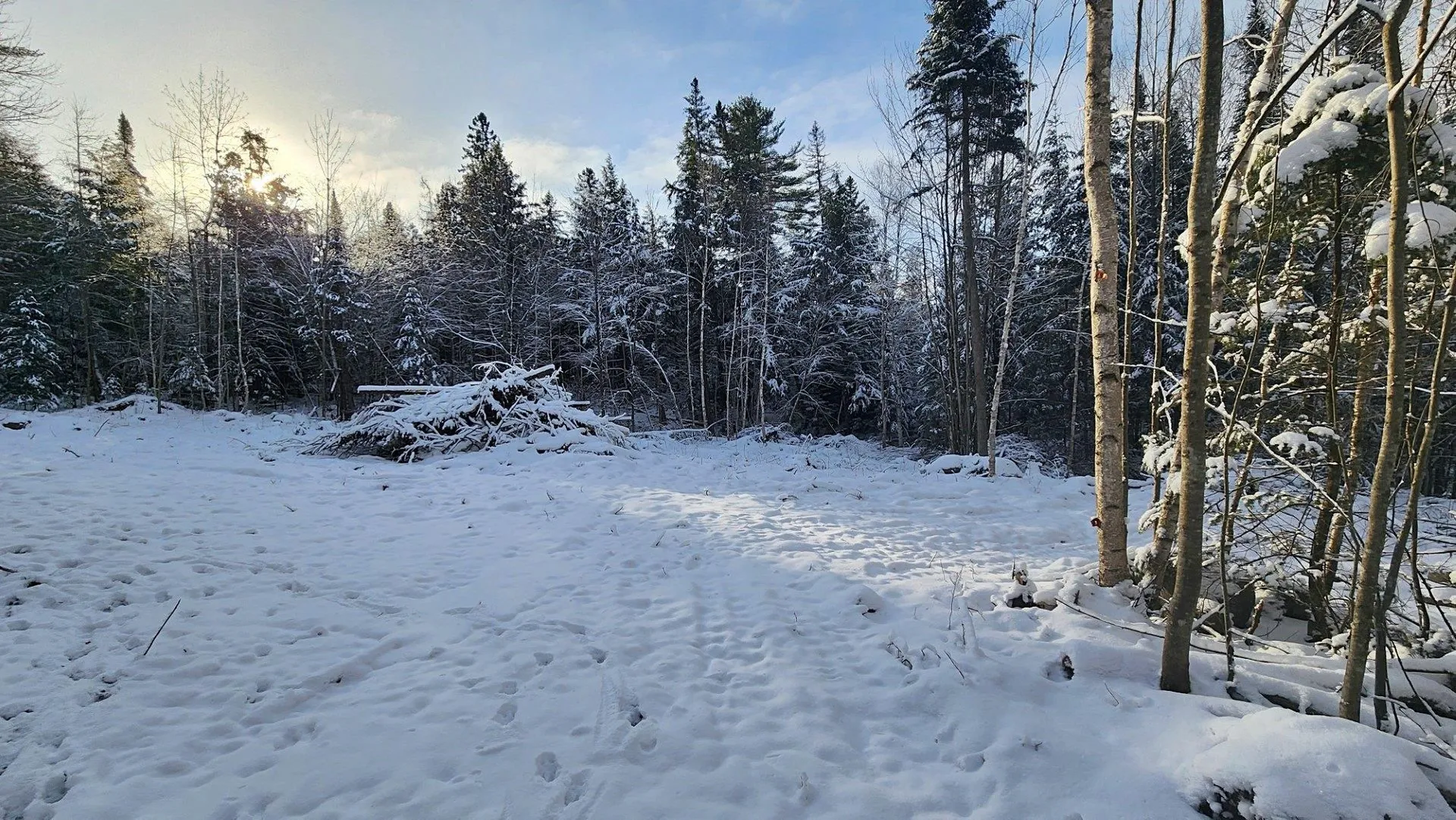 0 Pine Hill Road Coventry VT 05825