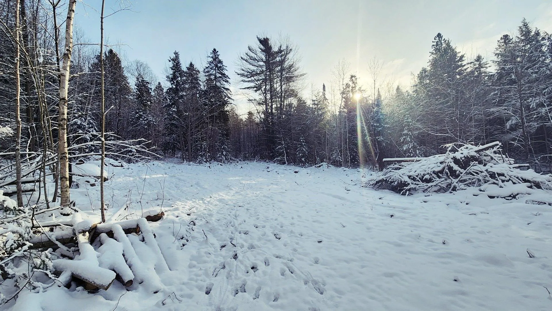 0 Pine Hill Road Coventry VT 05825